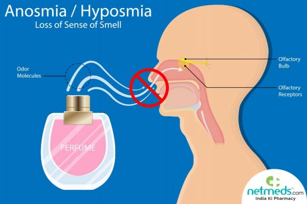 what-causes-smell-and-taste-disorders-how-to-cure-it