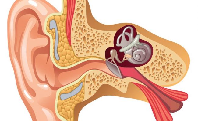 otosclerosis-causes-symptoms-diagnosis-treatment-and-prognosis